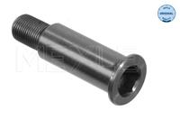 Meyle Lagerpen, spanrolhefboom 0140200070