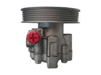 Spidan Servo pomp 54987