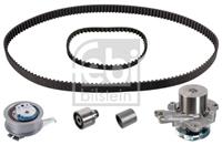 FEBI tandriemset 173077