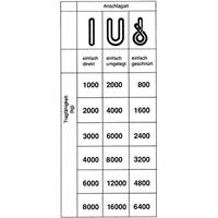 FORMAT Rundschlinge doppelmantel2000 kg, U: 2m, N:1,0m - 