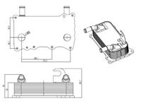 NRF Oliekoeler, motorolie 31846