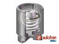 Autofren Seinsa Kolben, Bremssattel Hinterachse  D025319K