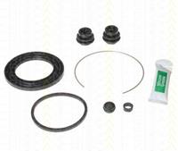 Triscan Reparatursatz, Bremssattel Vorderachse  8170 205745