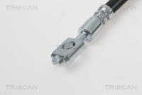 Bremsschlauch Hinterachse Triscan 8150 292013