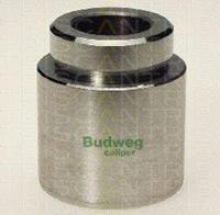 Triscan Kolben, Bremssattel Vorderachse  8170 234519