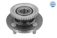Meyle Wielnaaf 36147500002