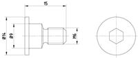 chrysler Schroef, remschijf TPM0001