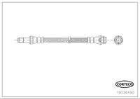 Corteco Bremsschlauch Hinterachse  19036490