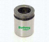Triscan Kolben, Bremssattel Hinterachse  8170 234221