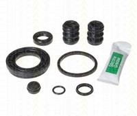 Triscan Reparatursatz, Bremssattel Hinterachse  8170 203816