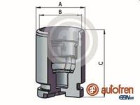 Autofren Seinsa Kolben, Bremssattel Hinterachse  D025637