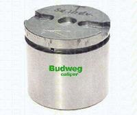 Triscan Kolben, Bremssattel Vorderachse  8170 235733