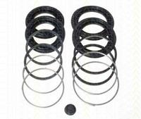 Triscan Reparatursatz, Bremssattel Vorderachse  8170 204528