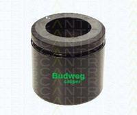 Triscan Kolben, Bremssattel Vorderachse  8170 236036