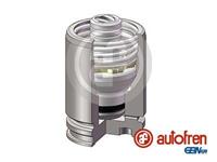 Autofren Seinsa Kolben, Bremssattel Hinterachse  D025584K
