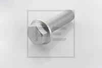 Schroef, remschijf PETERS 010.174-00A