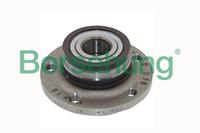 Borsehung Radlager Hinterachse  B15621