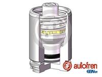 Autofren Seinsa Kolben, Bremssattel Hinterachse  D025629K