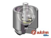 Autofren Seinsa Kolben, Bremssattel Hinterachse  D025691LK