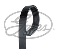 ford Poly V-riem 6PK990