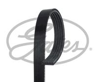 mercedes Poly V-riem 5PK1513