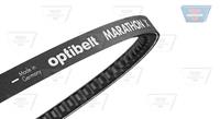 Optibelt Keilriemen  AVX 10 x 1700