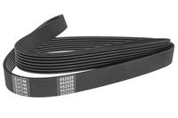 Keilrippenriemen denckermann 4PK925