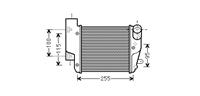 International Radiators INTERCOOLER RECHTS A6 2.7TD/3.0TD 03004304