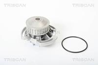 Triscan Wasserpumpe  8600 29142