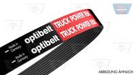 Optibelt Keilrippenriemen  8 PK 1610 TM