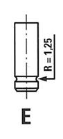Freccia Auslassventil  R4233/RNT