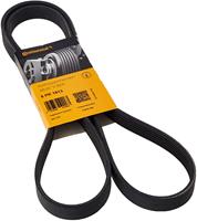 Contitech Multiriem 6PK1613