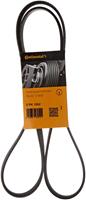 Contitech Multiriem 5PK1592