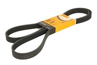 Contitech Multiriem 6PK1880