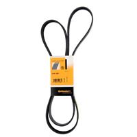 Contitech Multiriem 6PK1893