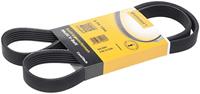 Contitech Multiriem 6PK1264