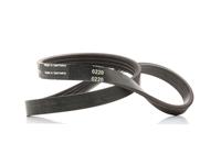 Keilrippenriemen SKF VKMV 4PK735