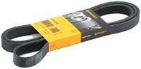 Contitech Multiriem 6PK2040