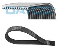 DAYCO Multiriem 11PK2015HD