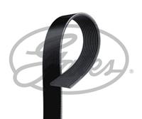 Gates Multiriem 10PK2150HD