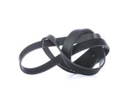 SKF Keilrippenriemen  VKMV 7PK2035