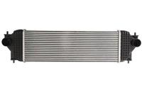 Intercooler THERMOTEC DA8001TT