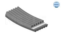 Meyle Multiriem 0500061697D