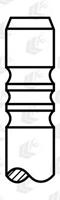 AE Engine Parts Klep V91428