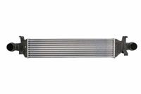 Intercooler THERMOTEC DAM017TT