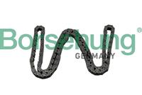 Borsehung Steuerkette  B17886