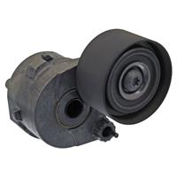 Mercedes-Benz Riemspanner, Poly V-riem