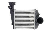 Intercooler THERMOTEC DAW013TT