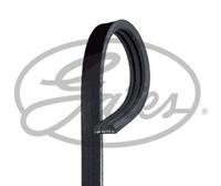 Gates Multiriem 3PK881SF