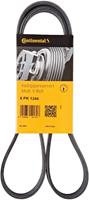 Contitech Multiriem 6PK1244